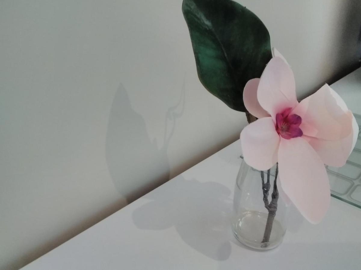 Windermere Studio Rooms - With Free Car Parking Onsite Extérieur photo