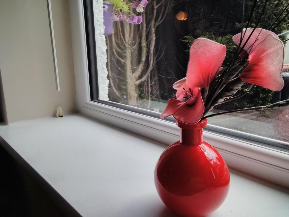 Windermere Studio Rooms - With Free Car Parking Onsite Extérieur photo